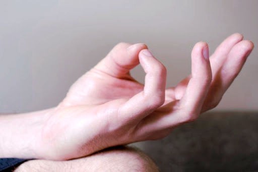 buddhi mudra