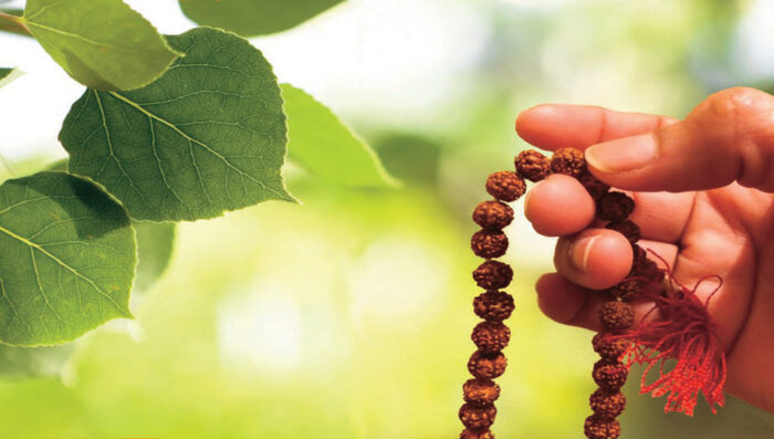 meditacion para manifestar