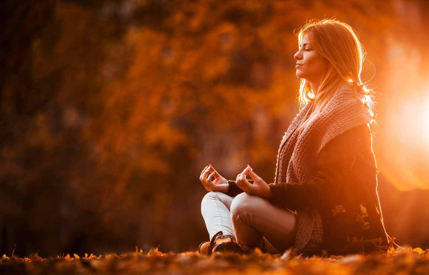 Historia y Filosofía de la Meditación Vipassana